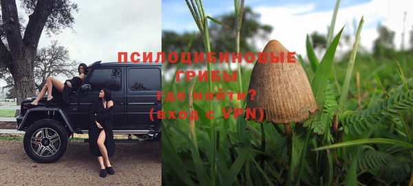 кокс Шарыпово