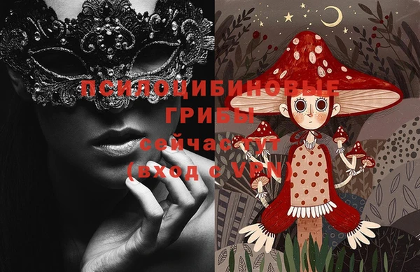 спиды Шали