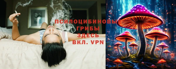 спиды Шали