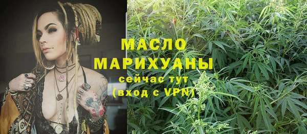 спиды Шали
