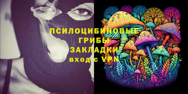 спиды Шали