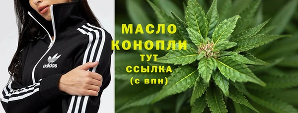 спиды Шали