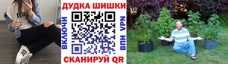 Бошки Шишки OG Kush  Купить где  Алдан 